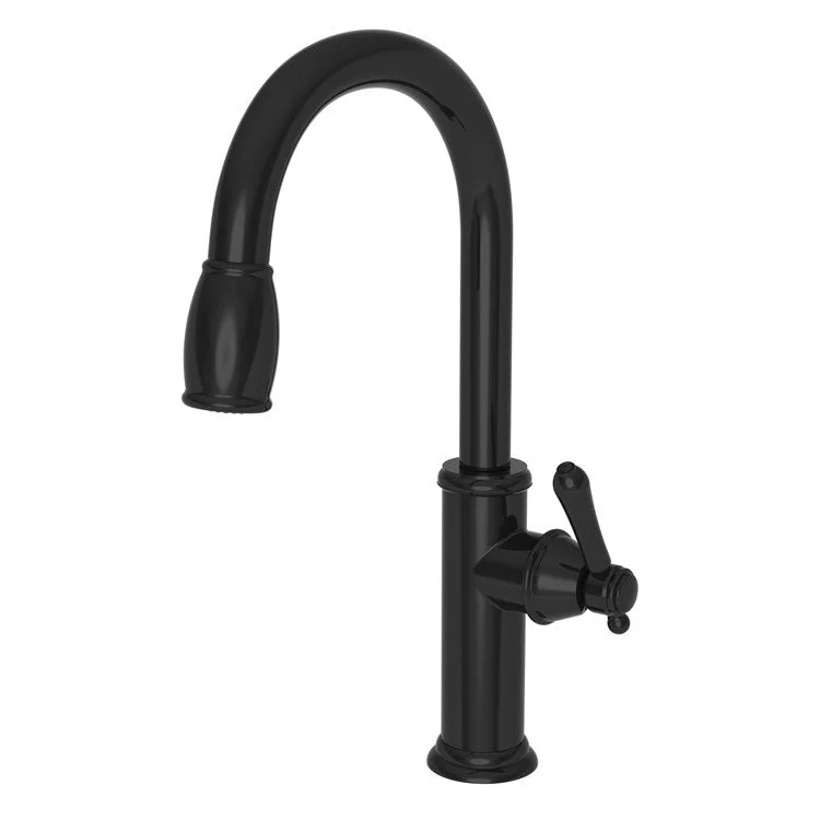 Kitchen Faucet Chesterfield 1 Lever ADA Gloss Black Pull Down Spout Height 10-1/3 Inch 1.8 Gallons per Minute